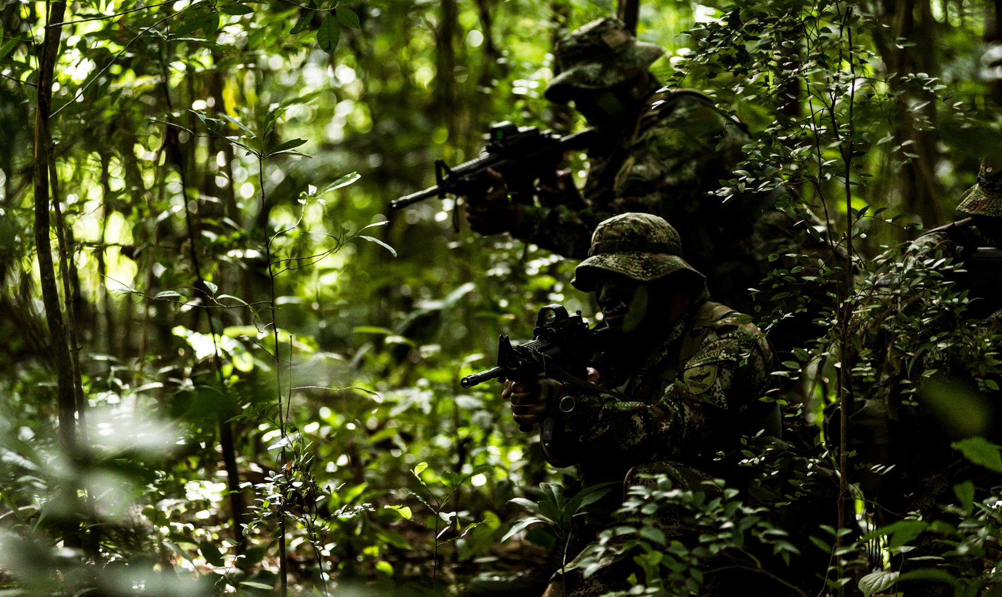 La Guerra en las fronteras de Risaralda.