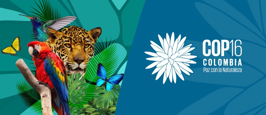 Arranca en Cali la cumbre mundial sobre Biodiversidad COP 16.